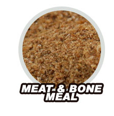 Meat & Bone Meal